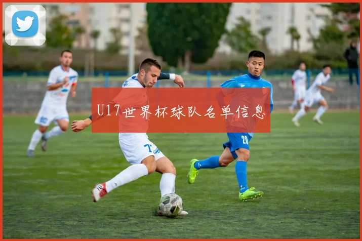 U17世界杯球队名单信息