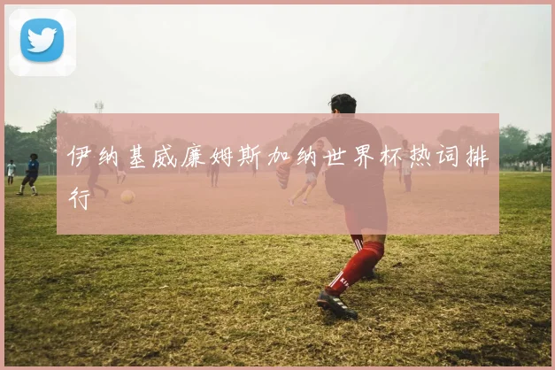 伊纳基威廉姆斯加纳世界杯热词排行