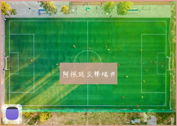 阿根廷交锋瑞典