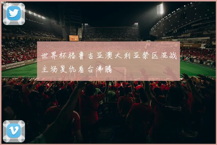 世界杯格鲁吉亚澳大利亚禁区混战主场复仇看台沸腾