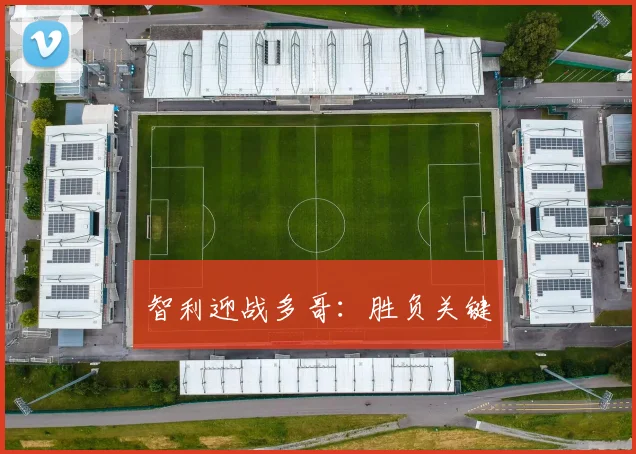 智利迎战多哥：胜负关键