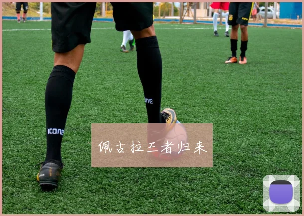 佩古拉王者归来