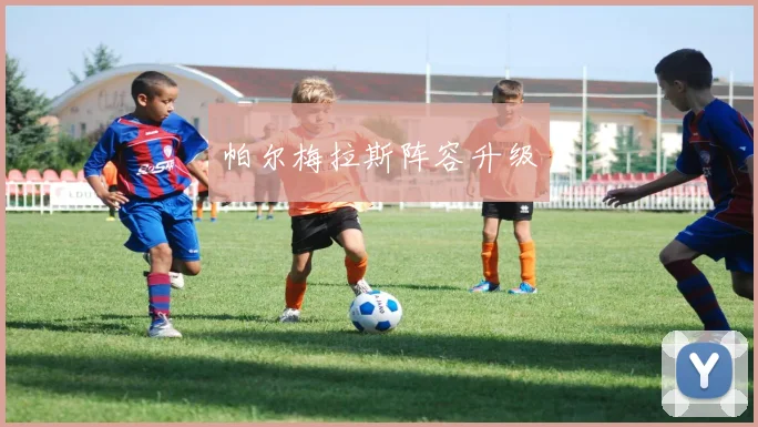帕尔梅拉斯阵容升级