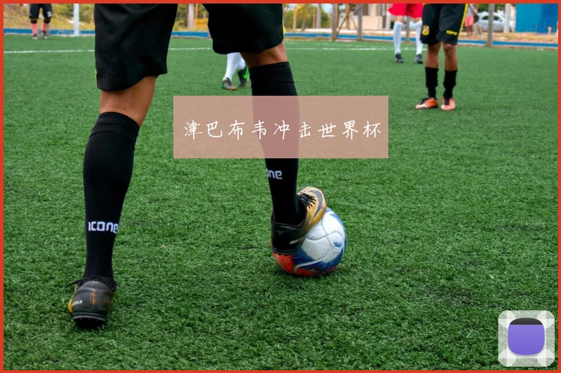 津巴布韦冲击世界杯