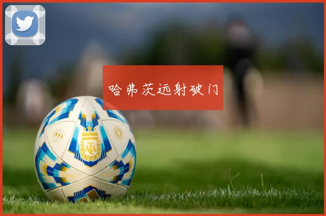 哈弗茨远射破门