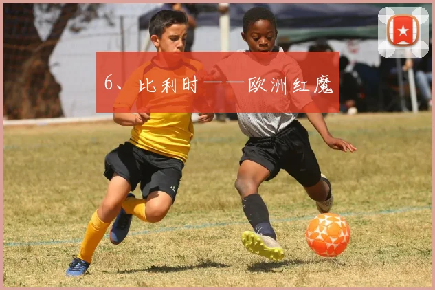6、比利时——欧洲红魔