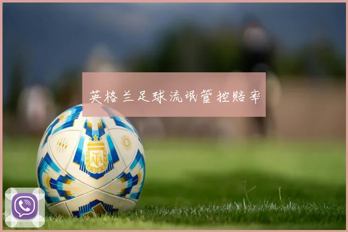 英格兰足球流氓管控赔率