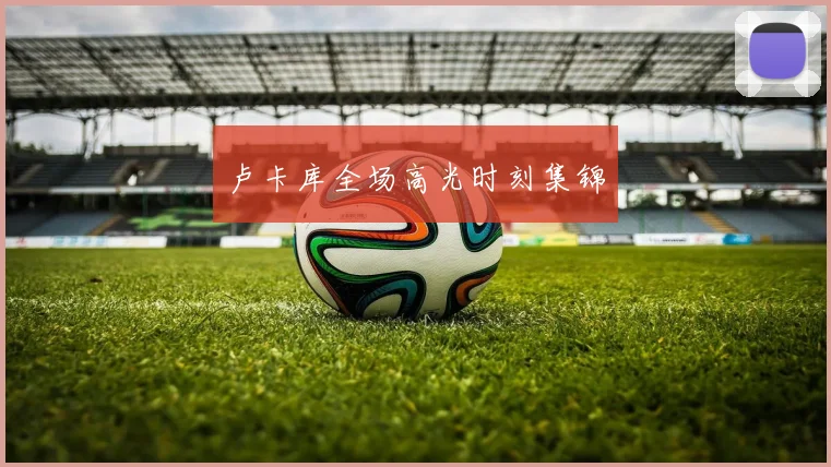 卢卡库全场高光时刻集锦