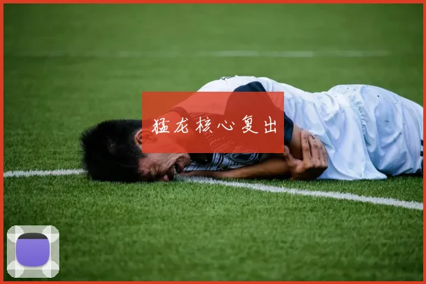 猛龙核心复出
