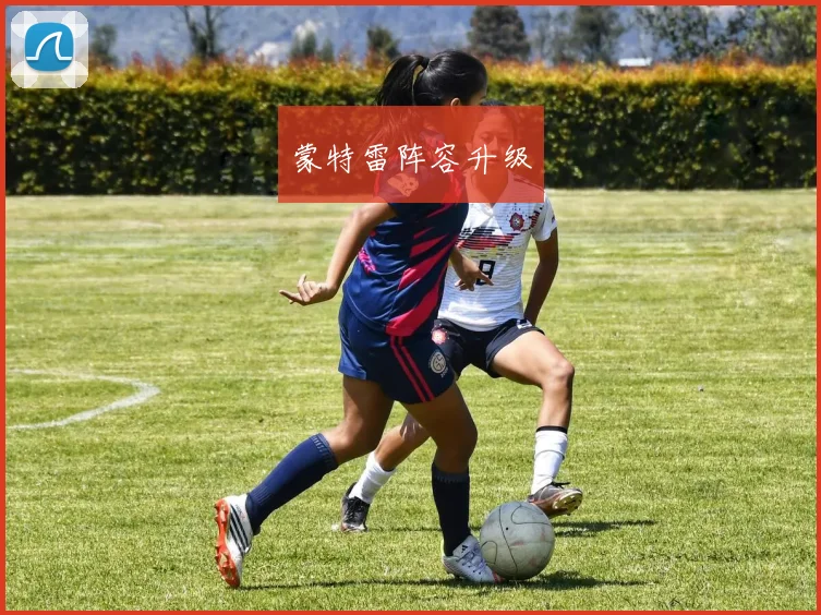 蒙特雷阵容升级