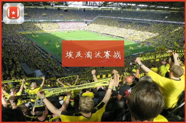 埃及淘汰赛战