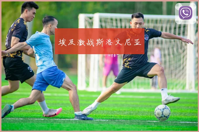 埃及激战斯洛文尼亚