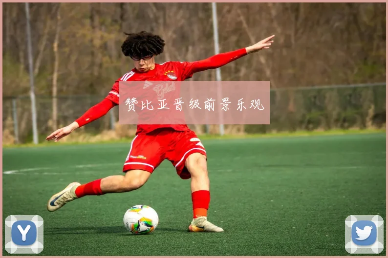 赞比亚晋级前景乐观