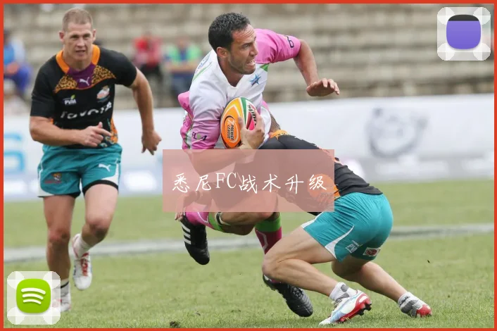 悉尼FC战术升级