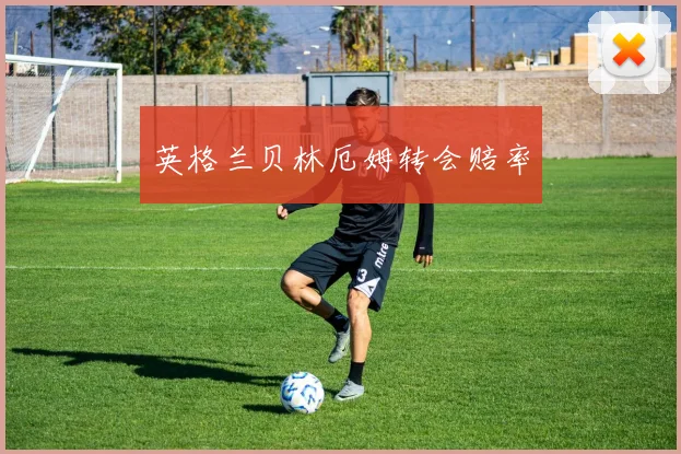 英格兰贝林厄姆转会赔率