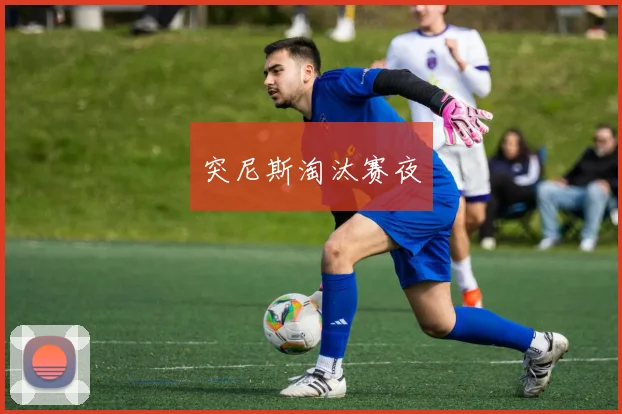 突尼斯淘汰赛夜