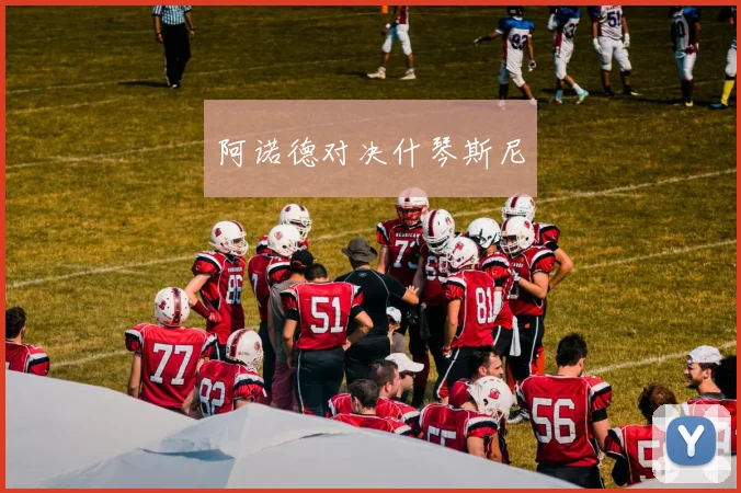 阿诺德对决什琴斯尼