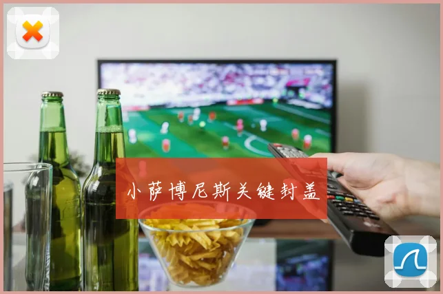 小萨博尼斯关键封盖