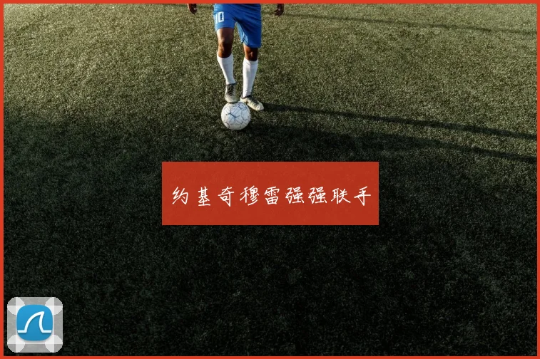 约基奇穆雷强强联手
