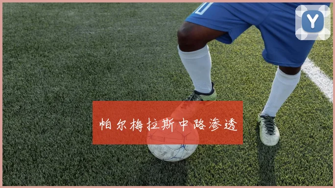 帕尔梅拉斯中路渗透