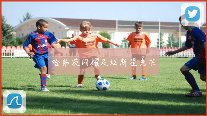 哈弗茨闪耀足坛新星光芒