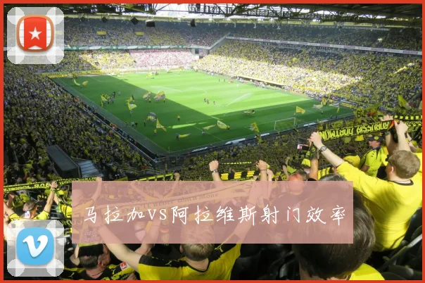 马拉加vs阿拉维斯射门效率