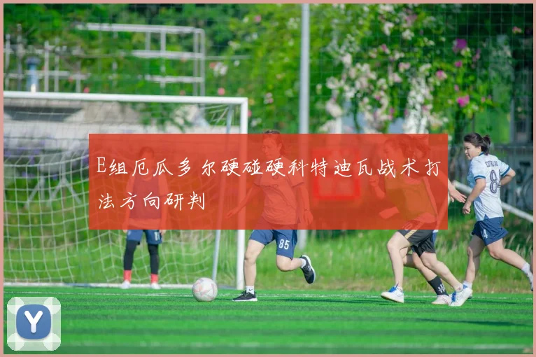 E组厄瓜多尔硬碰硬科特迪瓦战术打法方向研判