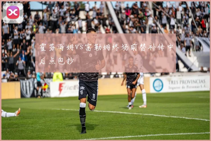 霍芬海姆vs富勒姆终场前替补传中后点包抄