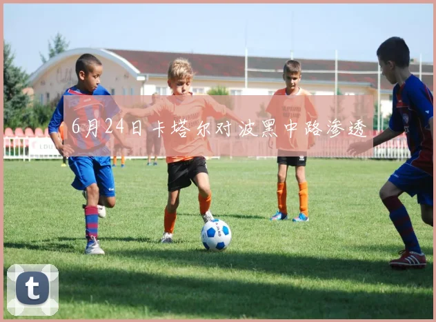 6月24日卡塔尔对波黑中路渗透