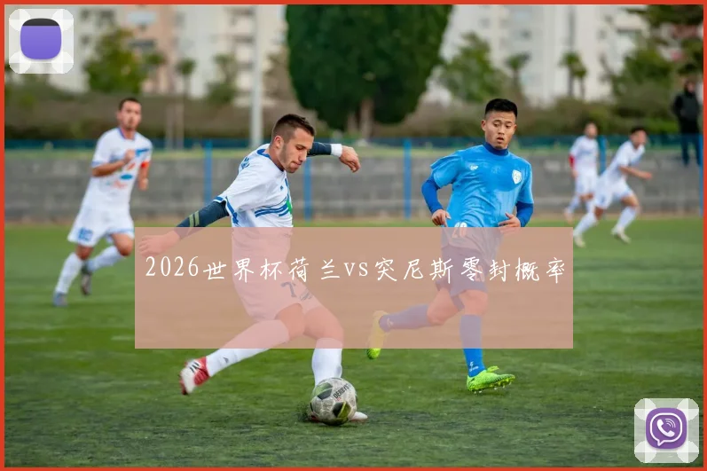 2026世界杯荷兰vs突尼斯零封概率